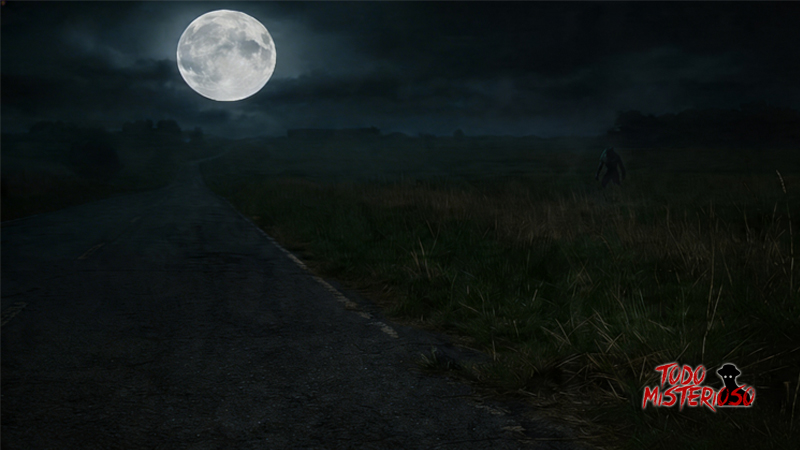 Un Lobizón visto en 2 patas en una ruta de Argentina. Imagen ilustrativa